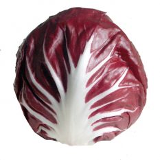 Radicchio