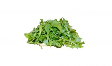 Rucola